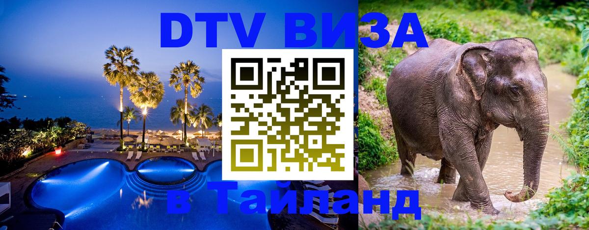 Сколько стоит DTV виза — актуальные цены, оформление даже без документов - 04.10.2025 